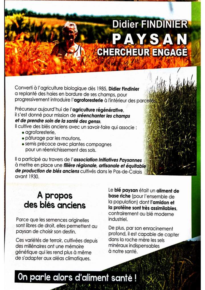 Champs de blés anciens et agroforestiers Campagne-lès-Boulonnais