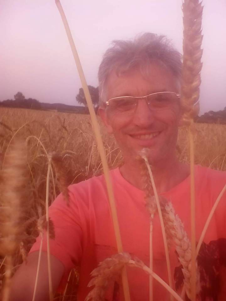 Grands blés Campagne-lès-Boulonnais