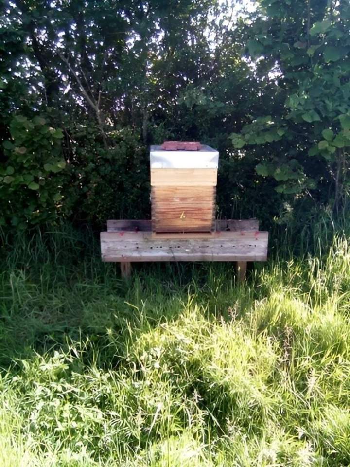 Matériel agriculteurr Campagne-lès-Boulonnais